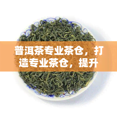 普洱茶专业茶仓，打造专业茶仓，提升普洱茶品质与价值