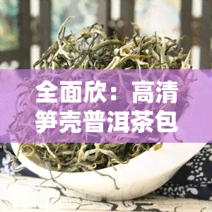 全面欣：高清笋壳普洱茶包装图片大全