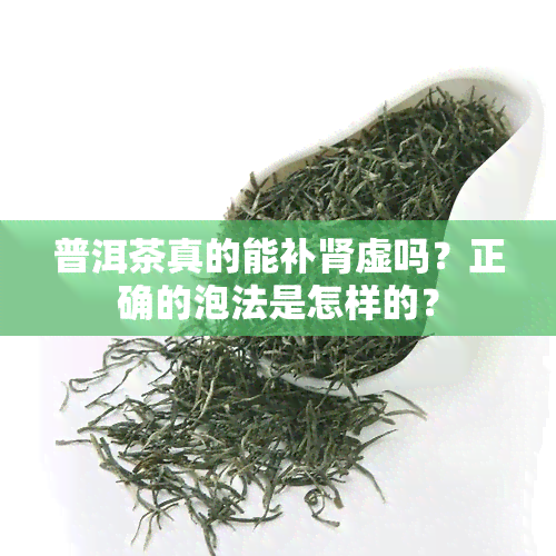 普洱茶真的能补肾虚吗？正确的泡法是怎样的？