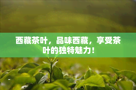  *** 茶叶，品味 *** ，享受茶叶的独特魅力！