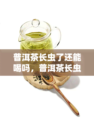 普洱茶长虫了还能喝吗，普洱茶长虫了还能不能喝？专家为你解答