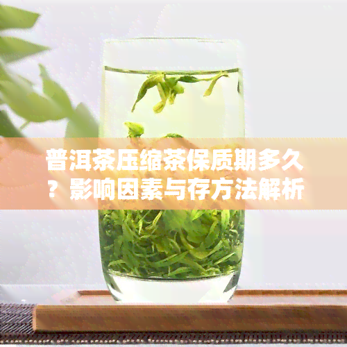 普洱茶压缩茶保质期多久？影响因素与存方法解析