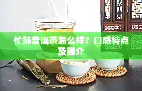 忙肺普洱茶怎么样？口感特点及简介