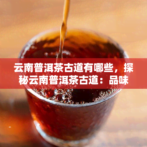 云南普洱茶古道有哪些，探秘云南普洱茶古道：品味历与自然的交融