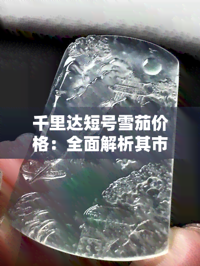 千里达短号雪茄价格：全面解析其市场行情与价值评估