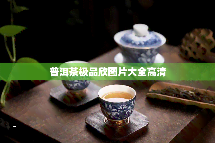 普洱茶极品欣图片大全高清