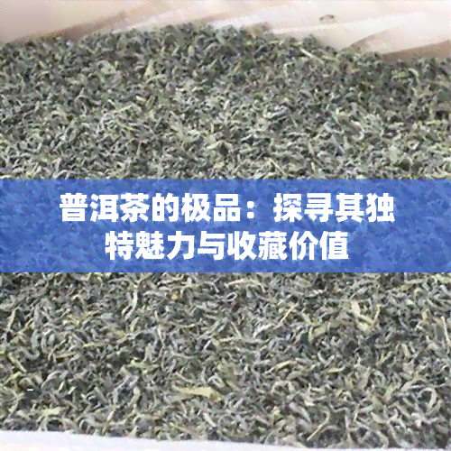 普洱茶的极品：探寻其独特魅力与收藏价值