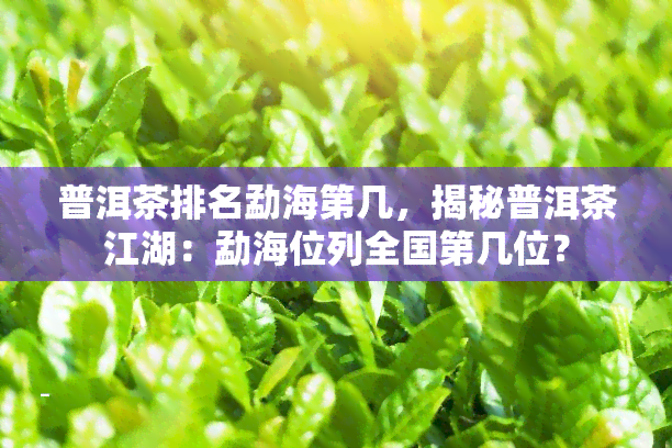 普洱茶排名勐海第几，揭秘普洱茶江湖：勐海位列全国第几位？