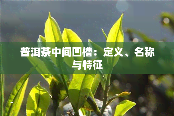 普洱茶中间凹槽：定义、名称与特征