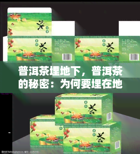 普洱茶埋地下，普洱茶的秘密：为何要埋在地下？