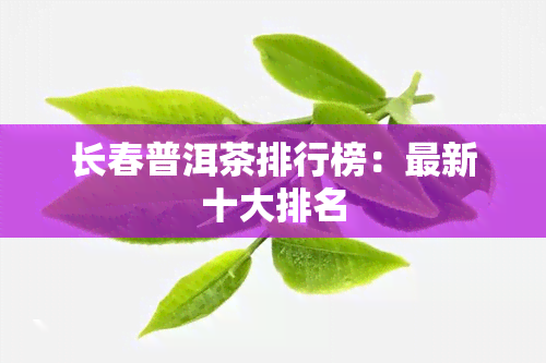 长春普洱茶排行榜：最新十大排名