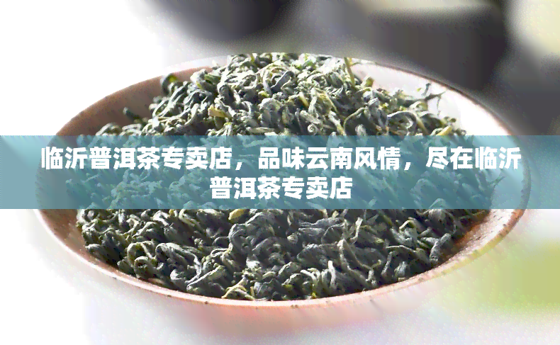 临沂普洱茶专卖店，品味云南风情，尽在临沂普洱茶专卖店