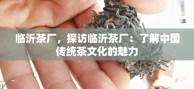 临沂茶厂，探访临沂茶厂：了解中国传统茶文化的魅力