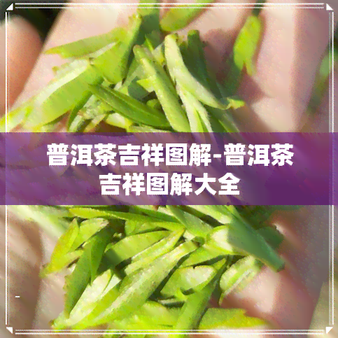 普洱茶吉祥图解-普洱茶吉祥图解大全