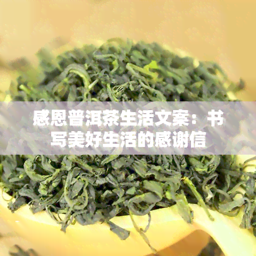 感恩普洱茶生活文案：书写美好生活的感谢信