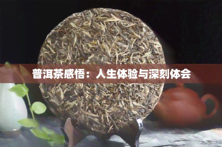 普洱茶感悟：人生体验与深刻体会