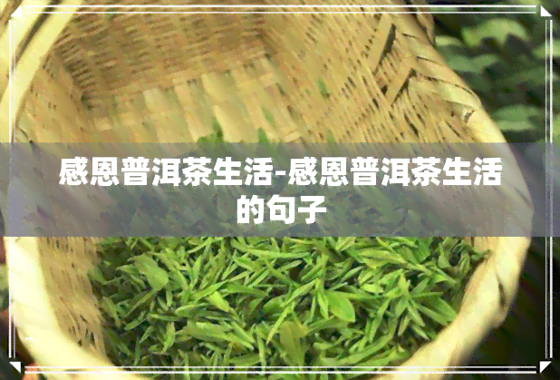 感恩普洱茶生活-感恩普洱茶生活的句子