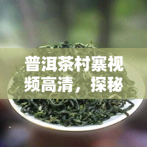 普洱茶村寨视频高清，探秘云南普洱茶村寨：高清视频带你领略独特的茶文化风情