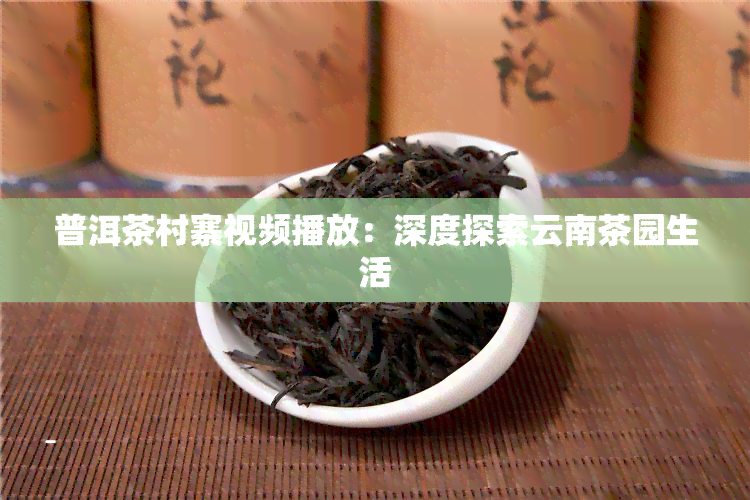 普洱茶村寨视频播放：深度探索云南茶园生活