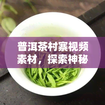 普洱茶村寨视频素材，探索神秘的普洱茶村寨：精彩视频素材大揭秘