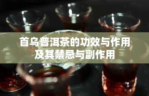 首乌普洱茶的功效与作用及其禁忌与副作用