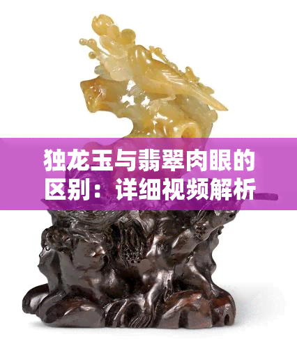 独龙玉与翡翠肉眼的区别：详细视频解析