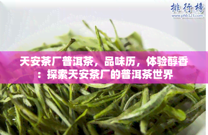 天安茶厂普洱茶，品味历，体验醇香：探索天安茶厂的普洱茶世界