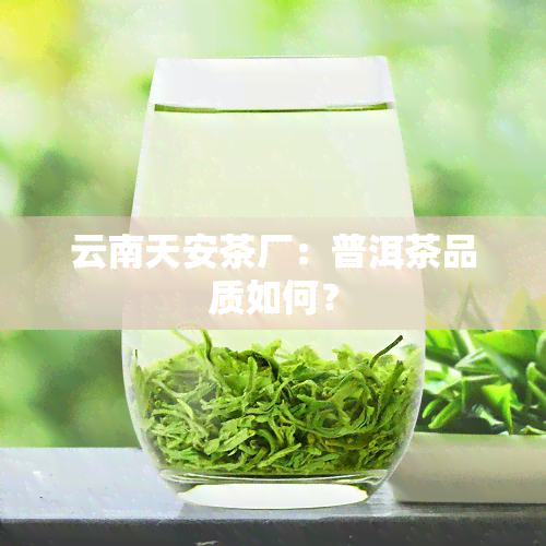 云南天安茶厂：普洱茶品质如何？