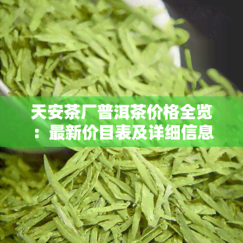 天安茶厂普洱茶价格全览：最新价目表及详细信息