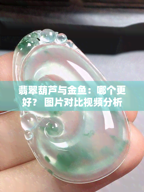 翡翠葫芦与金鱼：哪个更好？ 图片对比视频分析