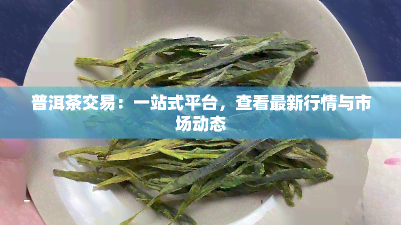 普洱茶交易：一站式平台，查看最新行情与市场动态