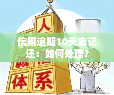 信用逾期10天忘记还：如何处理？