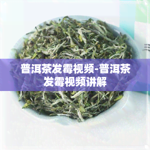 普洱茶发霉视频-普洱茶发霉视频讲解