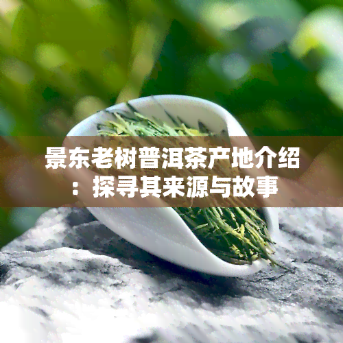 景东老树普洱茶产地介绍：探寻其来源与故事