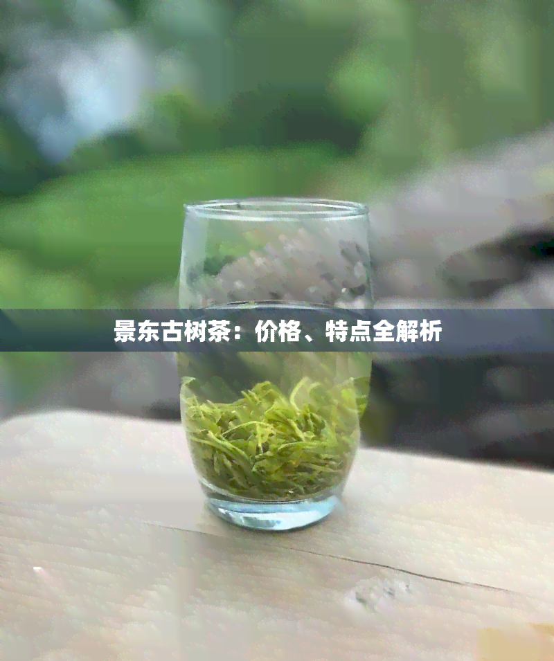 景东古树茶：价格、特点全解析