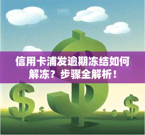 信用卡浦发逾期冻结如何解冻？步骤全解析！