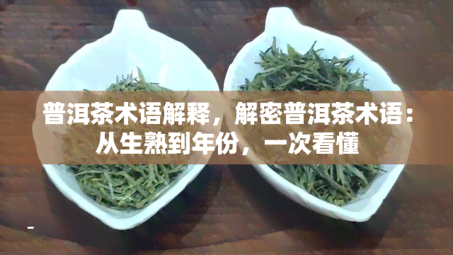 普洱茶术语解释，解密普洱茶术语：从生熟到年份，一次看懂