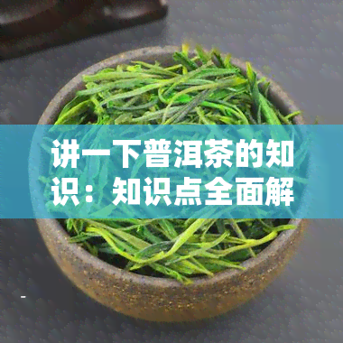 讲一下普洱茶的知识：知识点全面解析