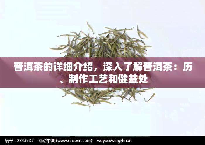 普洱茶的详细介绍，深入了解普洱茶：历、制作工艺和健益处