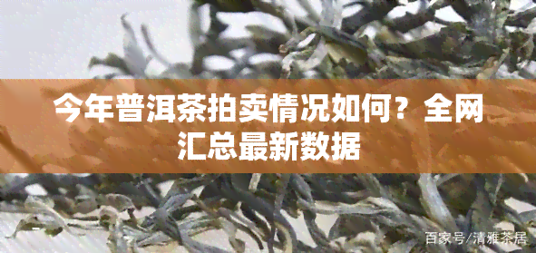 今年普洱茶拍卖情况如何？全网汇总最新数据