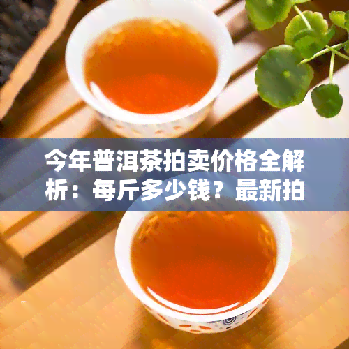 今年普洱茶拍卖价格全解析：每斤多少钱？最新拍卖价！