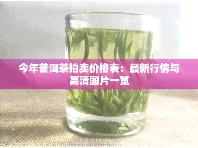 今年普洱茶拍卖价格表：最新行情与高清图片一览