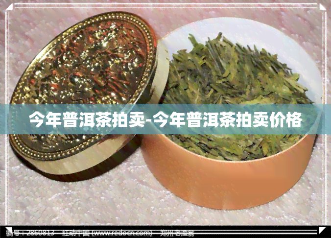 今年普洱茶拍卖-今年普洱茶拍卖价格