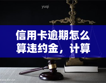 信用卡逾期怎么算违约金，计算信用卡逾期违约金的方法与步骤