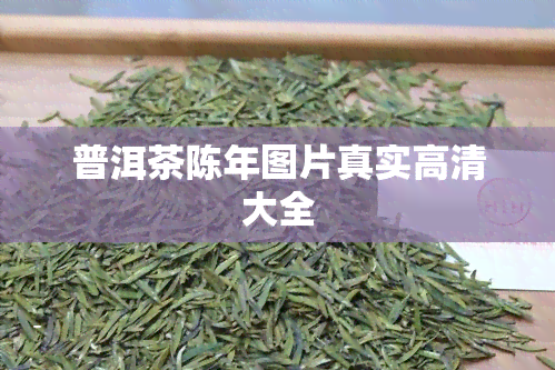 普洱茶陈年图片真实高清大全