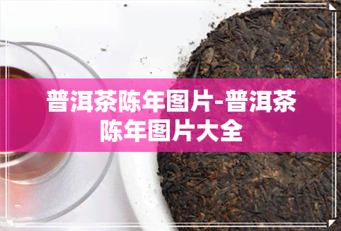 普洱茶陈年图片-普洱茶陈年图片大全