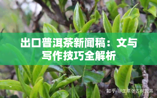 出口普洱茶新闻稿：文与写作技巧全解析