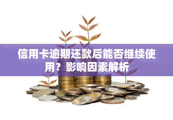 信用卡逾期还款后能否继续使用？影响因素解析