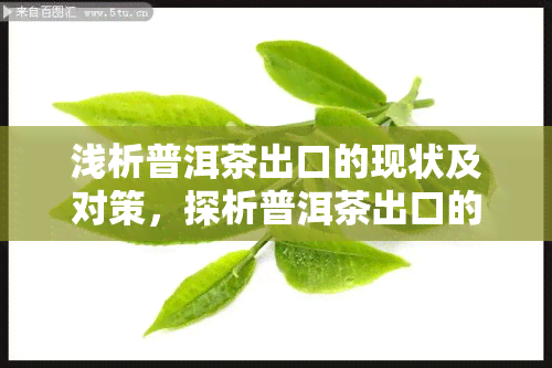 浅析普洱茶出口的现状及对策，探析普洱茶出口的困境与出路