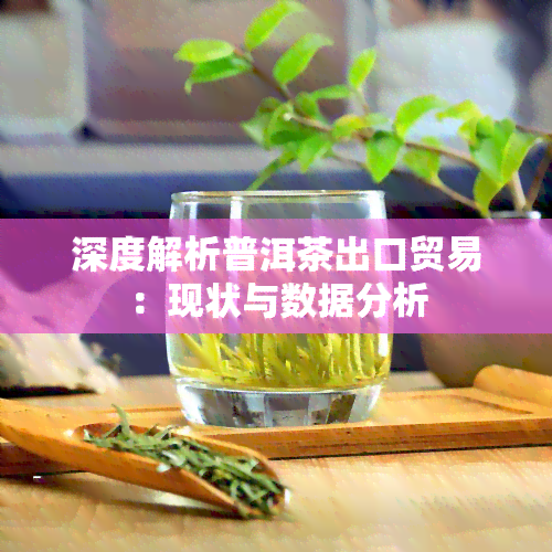 深度解析普洱茶出口贸易：现状与数据分析